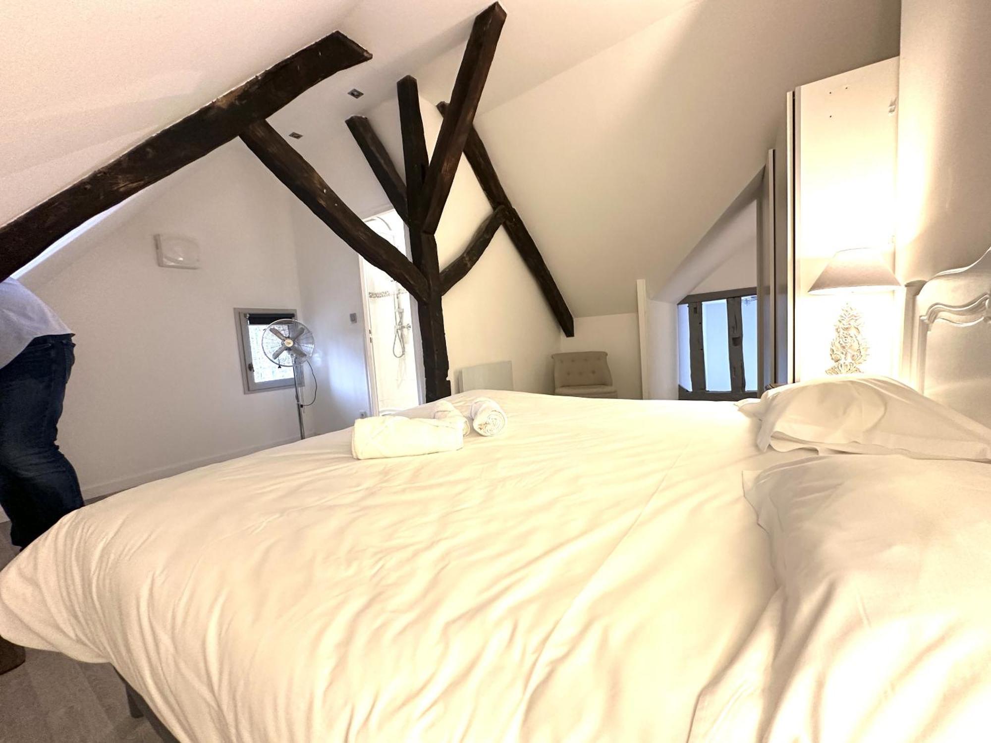 Batisse Paradis- 3 Appartements Calmes Et Elegants Au Centre Historique De Beaune ボーヌ エクステリア 写真